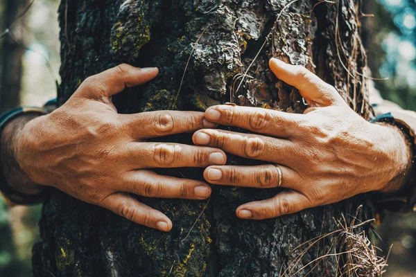 Close People Hands Hugging Trunk Tree Love Protection Concept Stop — ストック写真