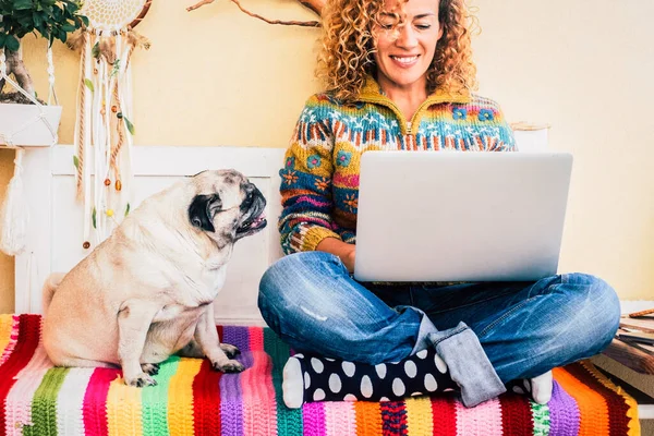 Одна Жінка Використовує Ноутбук Сидячи Своєю Найкращою Подругою Собакою Концепція — стокове фото