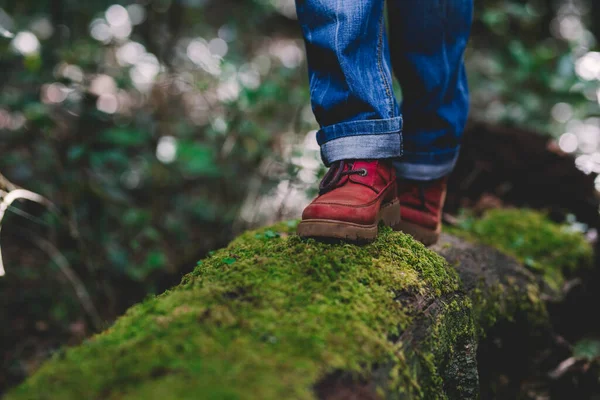 赤いブーツを閉じ 人々は緑のマスクとトランクの上を歩く 冒険レジャー活動ライフスタイルの自然と環境の概念 人と森の探検と楽しみ — ストック写真