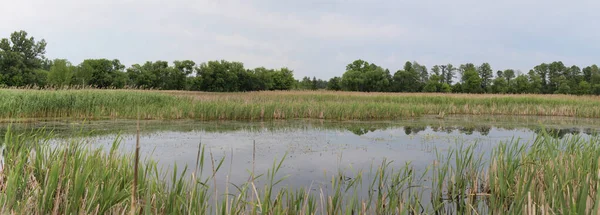 Lago Natureza Panorama Verão Água — Fotografia de Stock