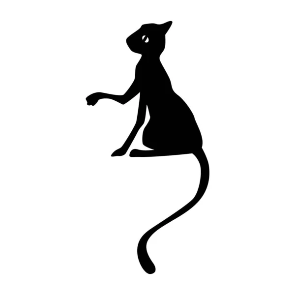 Silhouet Van Een Kat Een Witte Achtergrond Vector Zwart Silhouet — Stockvector