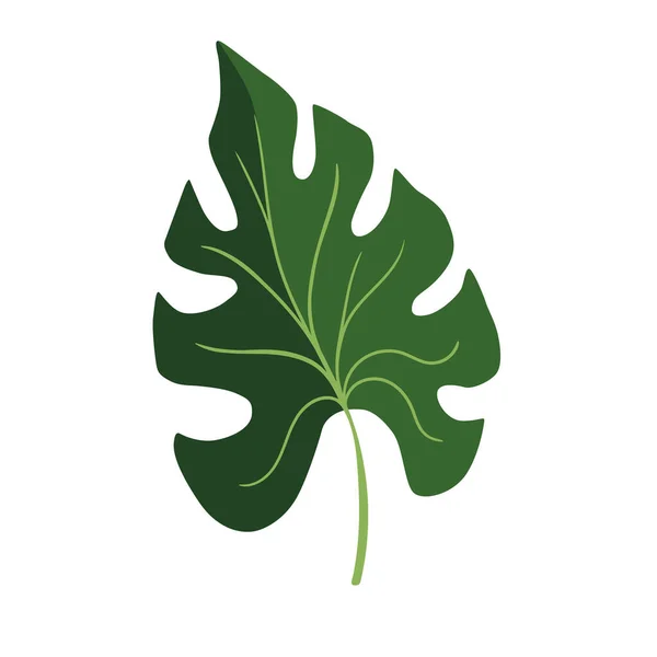 Feuille Plante Monstera Illustration Style Plat — Image vectorielle