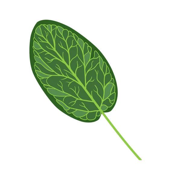 フロデンドロン手描き熱帯の葉 — ストックベクタ