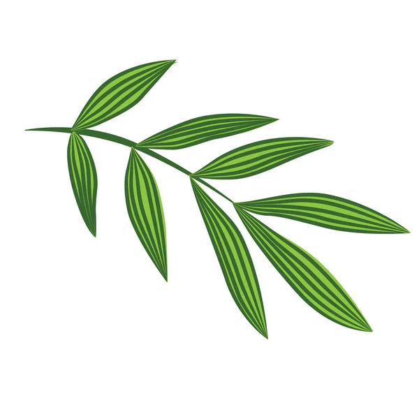 Illustration Feuille Tropicale Stylisée Dessinée Main — Image vectorielle