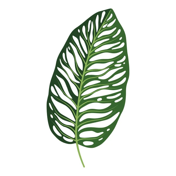Monstera Tropical Leaf Illustration Hand Drawn Stylized Tropical Leaf — Stock Vector