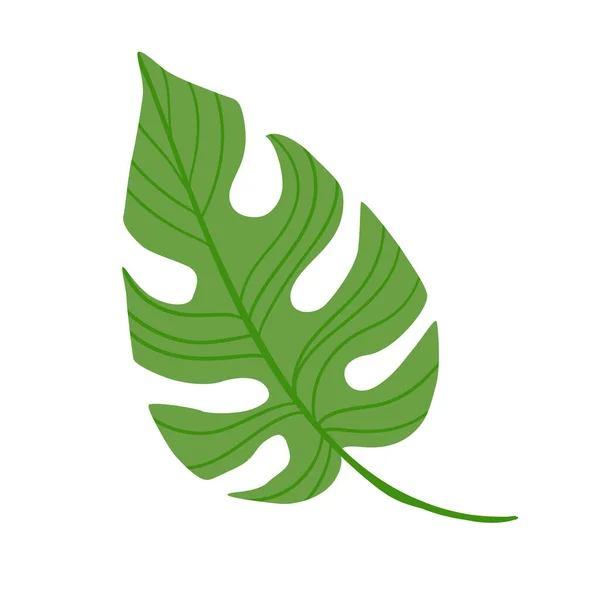 Foglia Verde Monstera Isolata Fondo Bianco Illustrazione Philodendron Foglia Tropicale — Vettoriale Stock