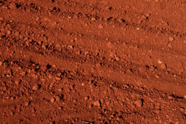 Sebze bahçesinde kırmızı tarla toprağı