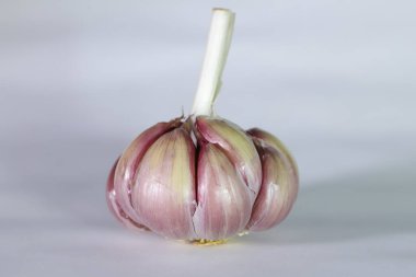 Bir baş sarımsak (Allium sativum) hafifçe soyulmuş ve her karanfil kenarlarda ve nötr bir arka planda pembemsi tonlarda görülebilir.