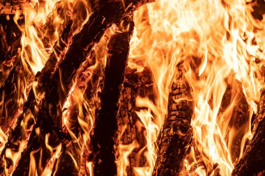 Bonfire with emphasis on the shape of the fire in its orange color, with the logs (wood) being burned.