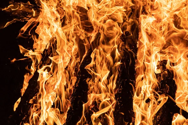 Ateşin Turuncu Rengindeki Şeklini Vurgulayan Şenlik Ateşi Kütükler Ahşap Yakılıyor — Stok fotoğraf