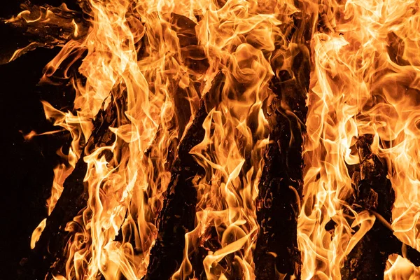 Bonfire Met Nadruk Vorm Van Het Vuur Zijn Oranje Kleur — Stockfoto