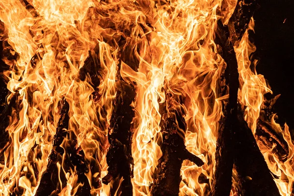 Bonfire Met Nadruk Vorm Van Het Vuur Zijn Oranje Kleur — Stockfoto