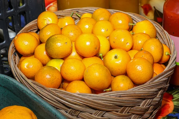 Basket Several Organic Kumquat Tangerines Berry Looks Miniature Oval Orange — Stok fotoğraf