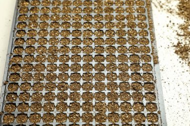 Plastic tray used for planting seedlings of flowers or vegetables, with the substrate and ready to be placed the seed.