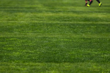 Bir futbol sahasının yeşil çimenleri, görüntünün ortasında seçici bir odak noktası, görüntünün üstünde kramponlu ayaklar..