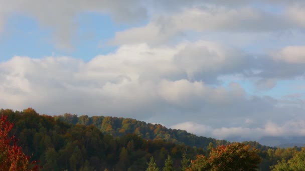 Timelapse della foresta autunnale con un bel cielo — Video Stock