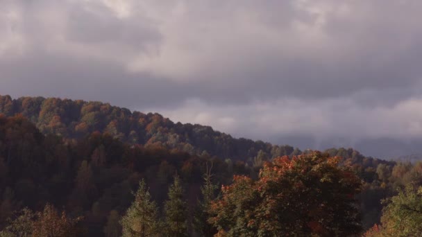 Timelapse van herfstbos met prachtige lucht — Stockvideo