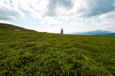 Çocuk dağ yolunda yürüyor. Doğada dinlenmek. Çocuk kampı