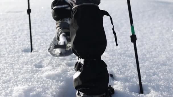 Egy túrázó hótalpban sétál a hóban, lassítva — Stock videók