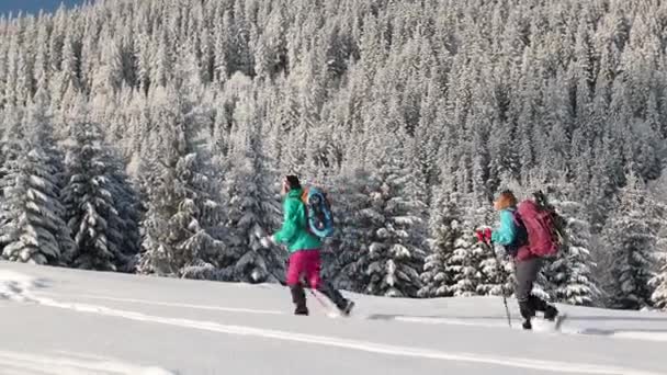 Dos mujeres caminan en raquetas de nieve en la nieve — Vídeos de Stock