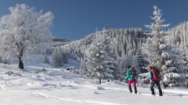 Twee vrouwen lopen in sneeuwschoenen in de sneeuw — Stockvideo