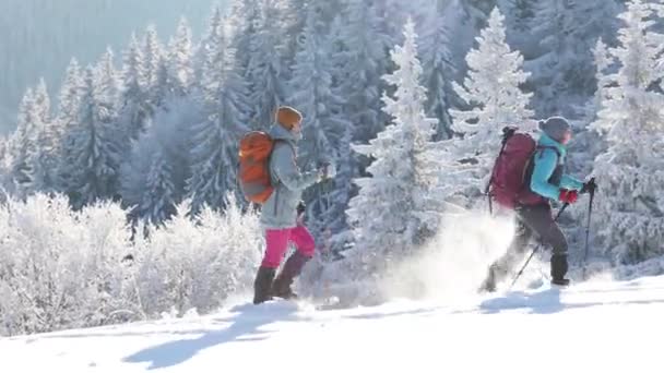 2人の女性が雪の中でスノーシューズを歩く — ストック動画