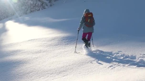 雪の中のスノーシューズを歩く女性、冬のトレッキング — ストック動画