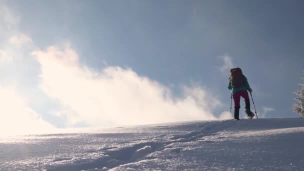 Μια γυναίκα περπατά με χιονοπέδιλα στο χιόνι, χειμερινή πεζοπορία — Αρχείο Βίντεο