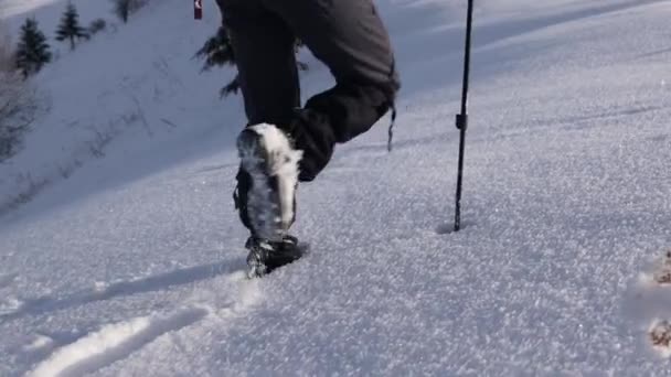 Μια γυναίκα περπατά με χιονοπέδιλα στο χιόνι, χειμερινή πεζοπορία — Αρχείο Βίντεο