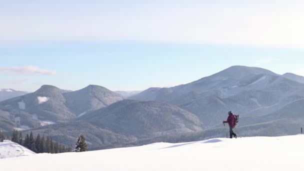 Uma mulher caminha em sapatos de neve na neve, trekking inverno — Vídeo de Stock