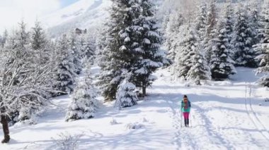 Dağlarda kar ayakkabılarıyla yürüyen bir kadın, kış yürüyüşü