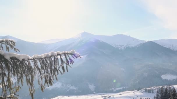 Paisaje de montaña en invierno — Vídeo de stock