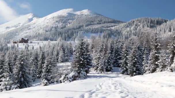 Berglandschaft im Winter — Stockvideo