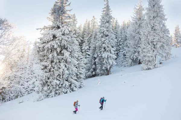 Due Donne Camminano Con Ciaspole Sulla Neve Trekking Invernale Due — Foto Stock