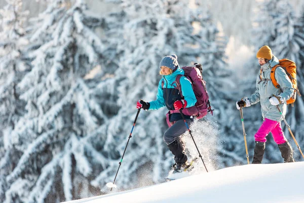 2人の女性は雪の中でスノーシューを歩く 冬のトレッキング 冬の山の中で2人 ハイキング機器 — ストック写真