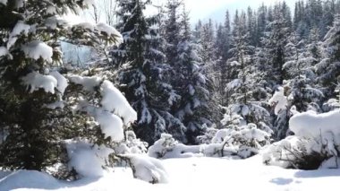 Kışın dağ manzarası