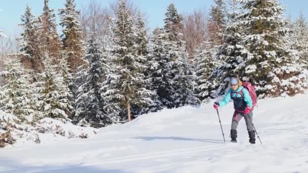 Eine Frau wandert mit Schneeschuhen in den Bergen, beim Winterwandern — Stockvideo