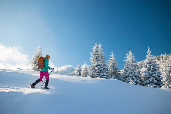 女性は雪の中でスノーシューズを歩く 冬のトレッキング 冬の山の中で一人 ハイキング機器 — ストック写真