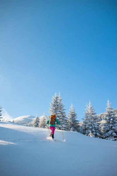 スノーシューを背負った女性が雪に覆われた山を登ったり冬のトレッキングやハイキングをしたり — ストック写真