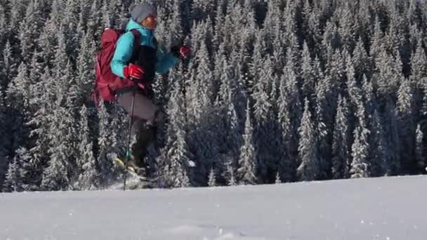 Una donna cammina con le ciaspole sulla neve, trekking invernale — Video Stock