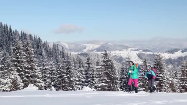 Dos mujeres caminan en raquetas de nieve en la nieve — Vídeos de Stock
