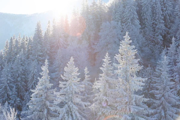 Zimowe Góry Pokryte Śniegiem Zimą Pokryte Śniegiem Drzewa Krajobraz Górski — Zdjęcie stockowe