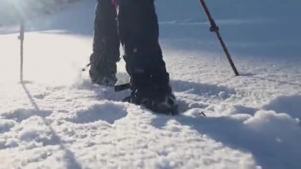Un excursionista camina en raquetas de nieve en el trekking de invierno — Vídeos de Stock