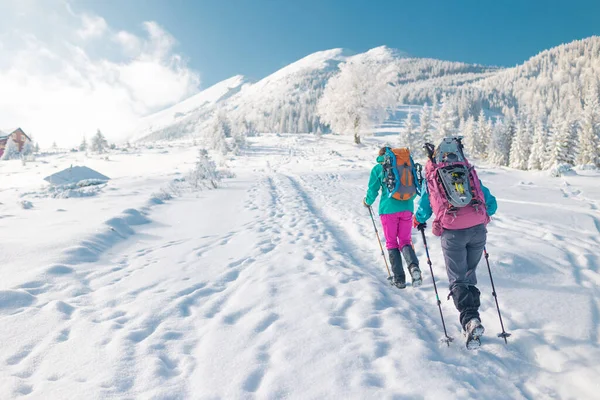 2人の女性がバックパック 冬のトレッキング 冬には山の中で2人のスノーシューで歩く ハイキング機器 — ストック写真