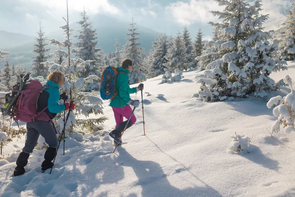 Dvě Ženy Chodí Sněžnicemi Batohech Zimní Trekking Dva Lidé Horách — Stock fotografie