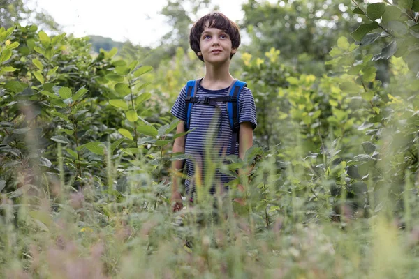 Niño Con Una Mochila Camina Por Bosque Niño Explora Vida — Foto de Stock