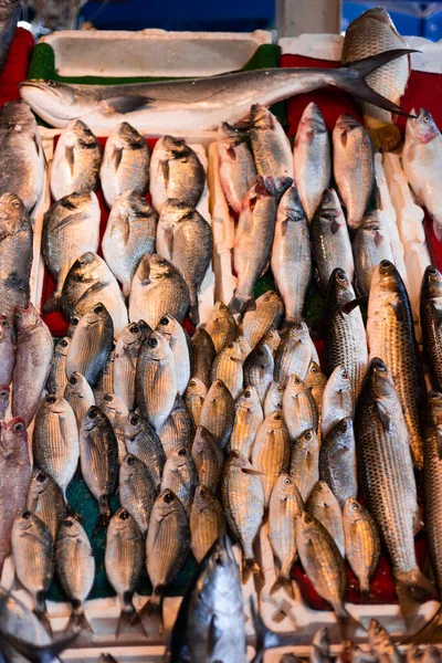 Peixe Fresco Balcão Loja Monte Peixes Pequenos Frutos Mar — Fotografia de Stock