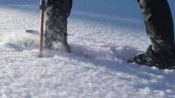 Um caminhante caminha em sapatos de neve no inverno trekking — Vídeo de Stock
