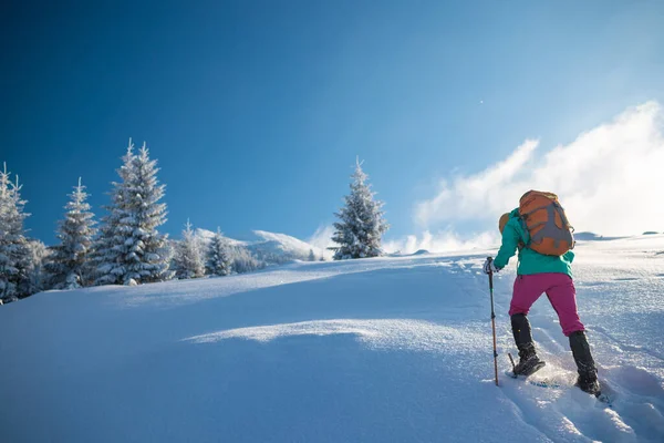 Uma Mulher Com Uma Mochila Sapatos Neve Sobe Uma Montanha — Fotografia de Stock