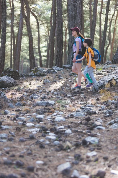 Bir kadın ve çocuğu dağ yolunda yürür, sırt çantalı bir çocuk annesiyle seyahat eder, çocuklarla yürüyüşe çıkar, çocuk ormanda yürür, aktif bir yaz tatili geçirir..